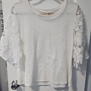 Elegant Cream Lace Sleeve Blouse